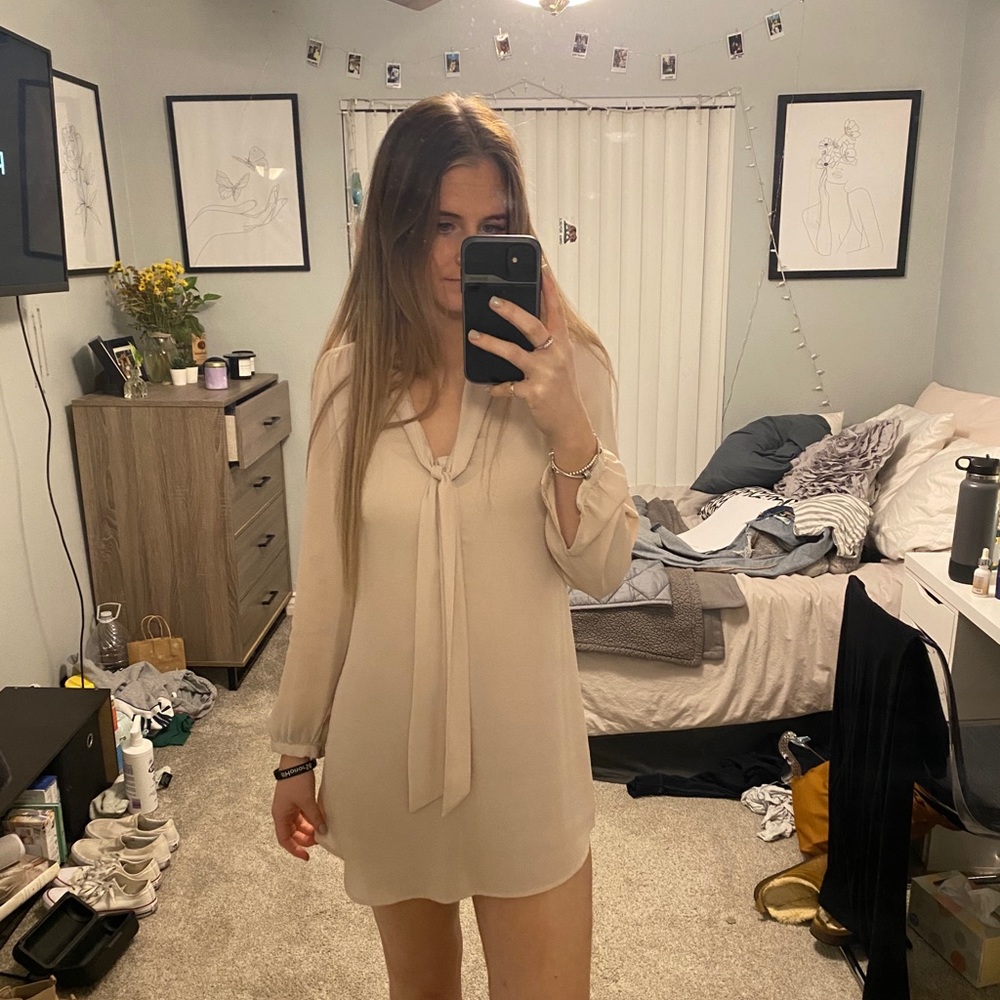 H&M pink blouse dress